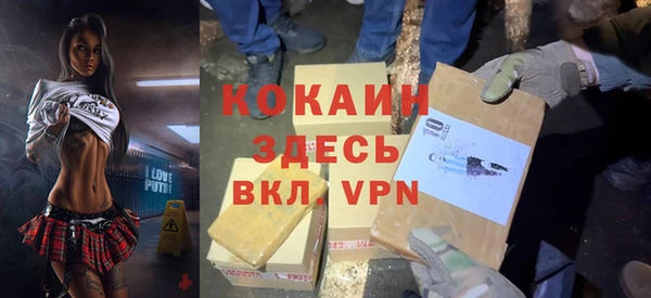 МДПВ Каменка