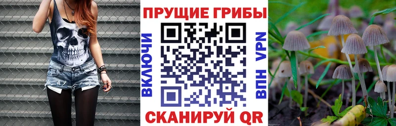 Галлюциногенные грибы прущие грибы  ссылка на мегу   Верхний Тагил 
